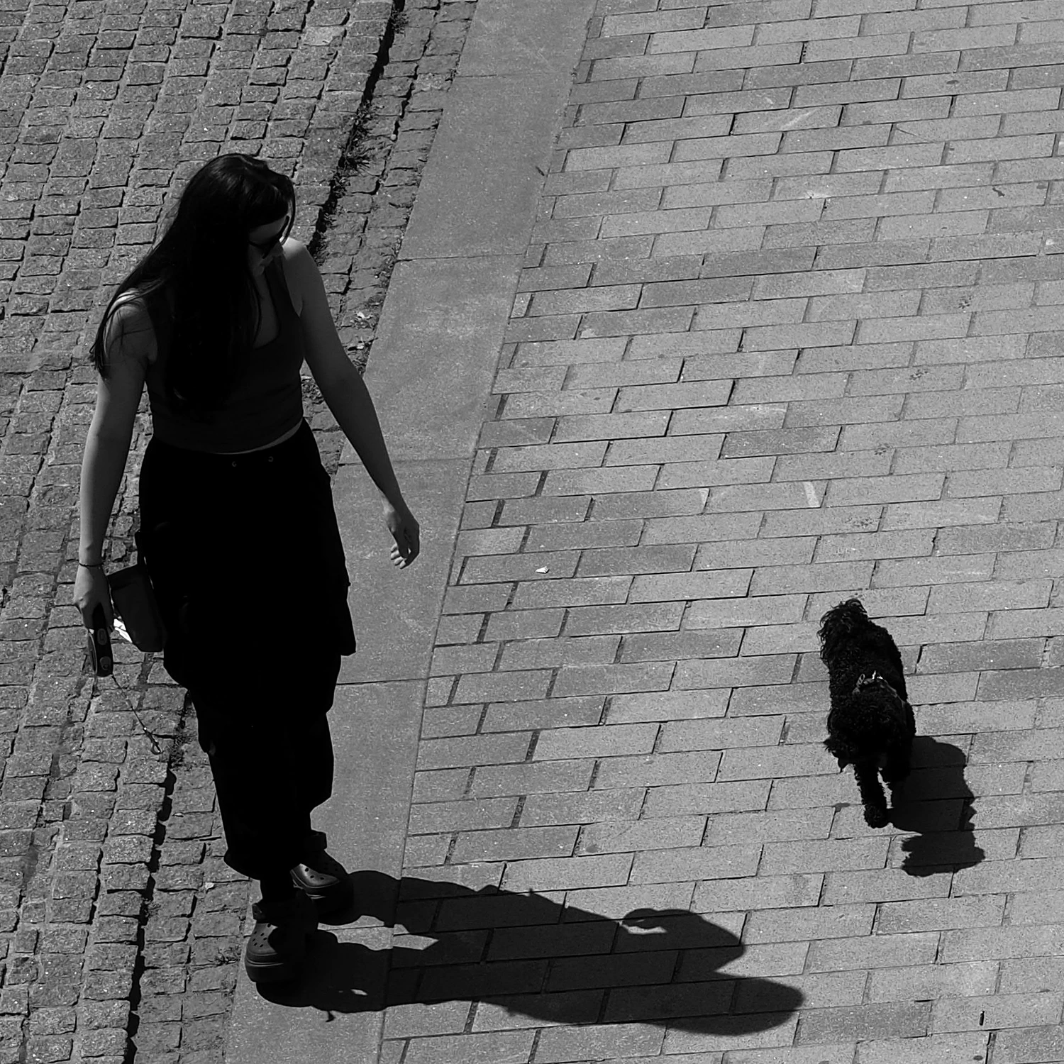 Black & Black