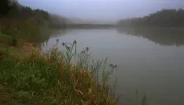 Nad wodą 