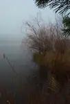 Nad wodą 
