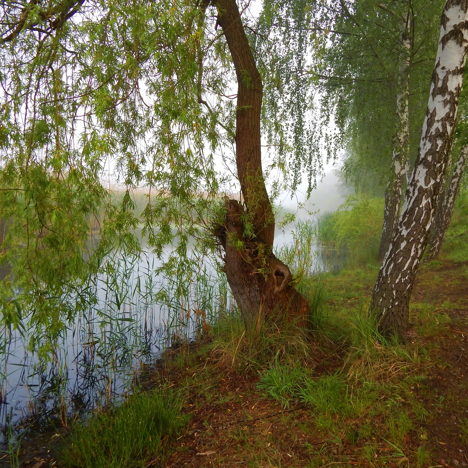 Nad wodą 