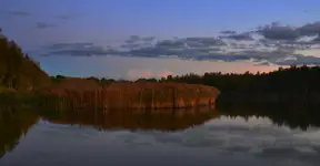 Pod wieczór 