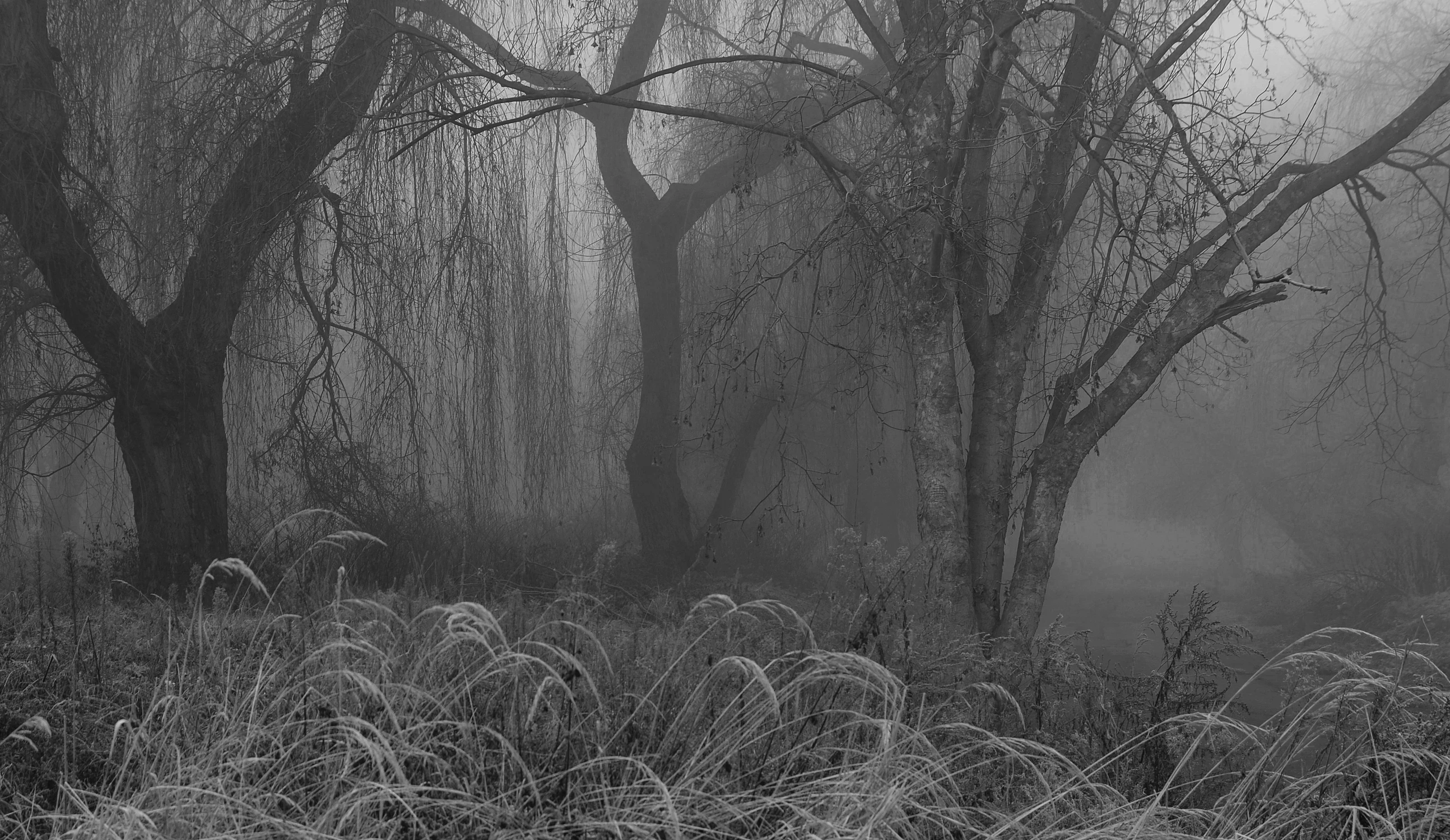 Mgliście to widzę..