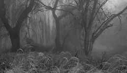 Mgliście to widzę..