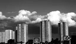 Miasto 