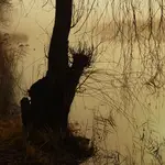 Nad wodą 