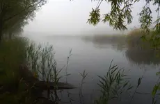 Nad wodą 