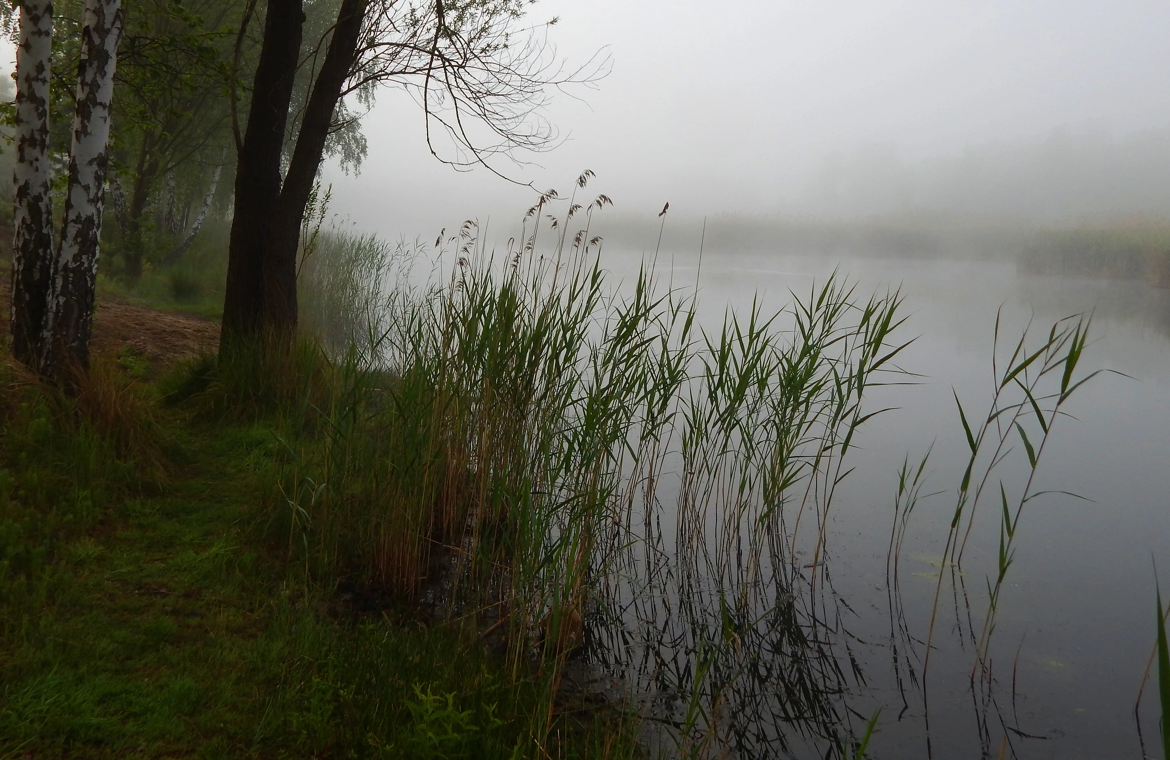 Nad wodą 