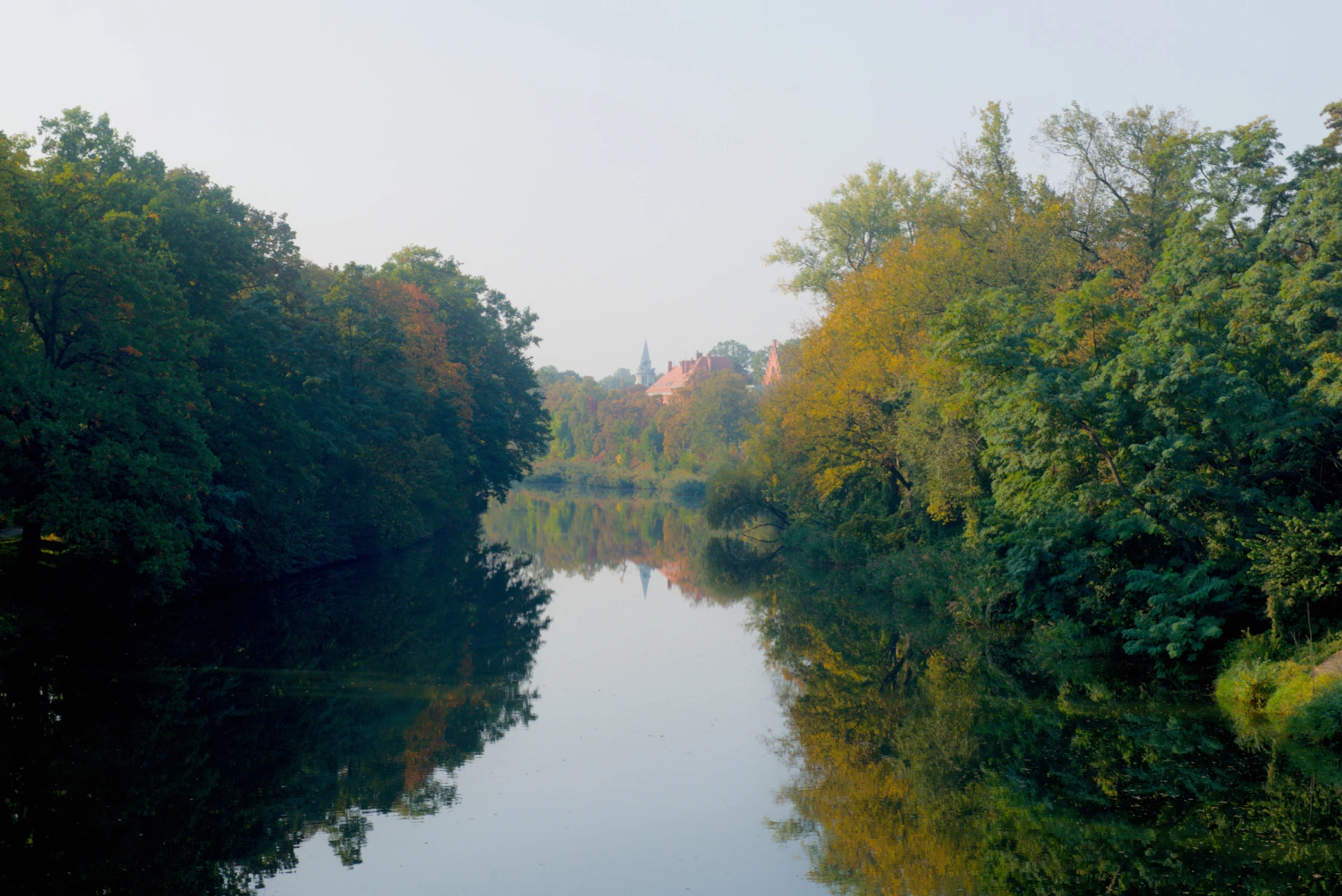 Stara Odra 
