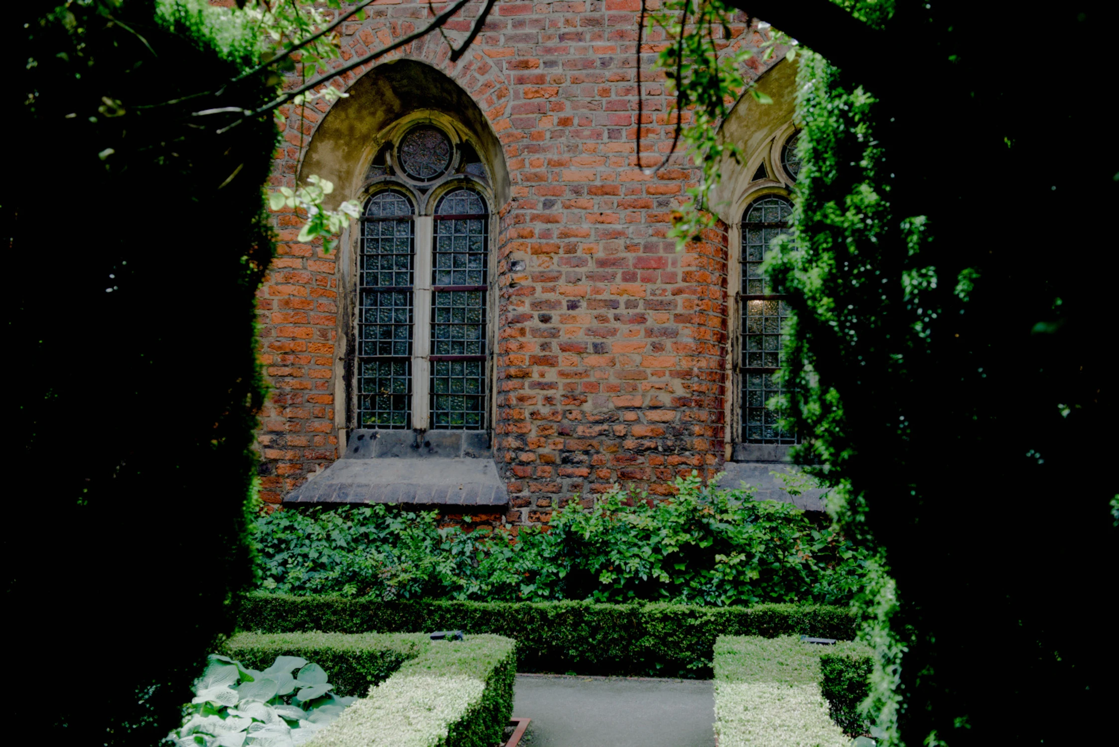 DSC_7776_01