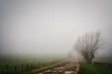 poranny spacer z przyjacielem