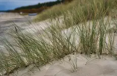 Jesień nad morzem