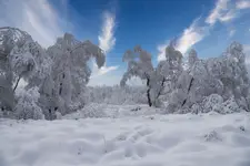 Zima przychodzi po jesieni...