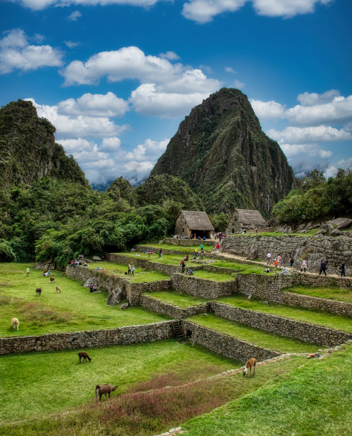 Spacer po Machu Picchu