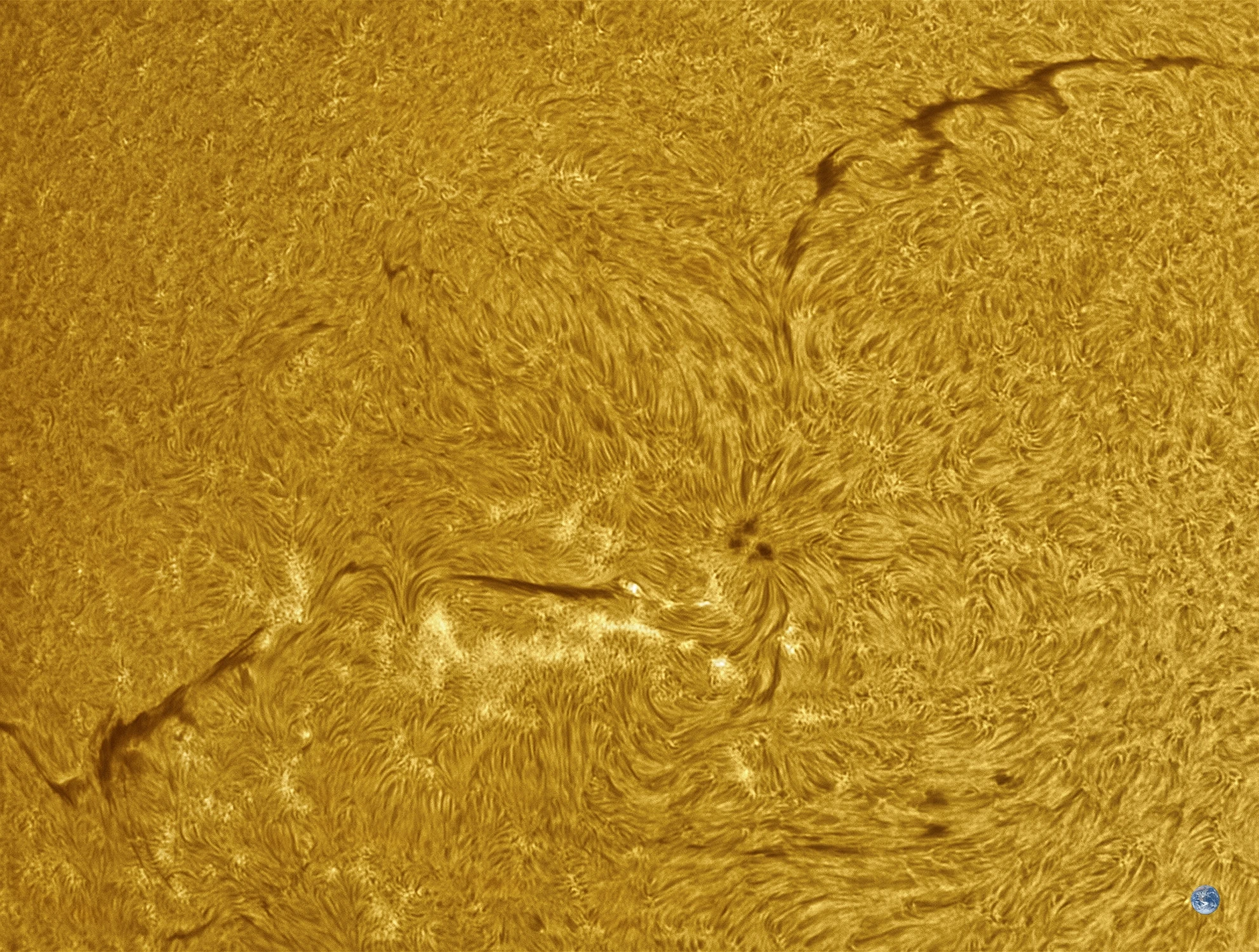 AR4492
