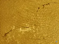 AR4492