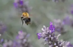 See ya !