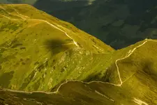 Na grani