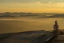 W grudniu po południu...