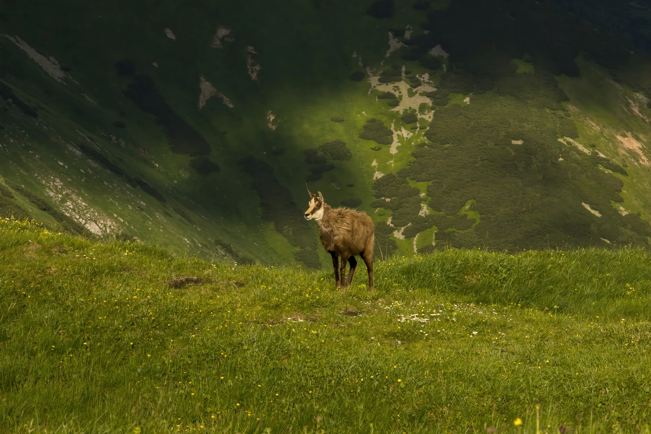 Spotkanie