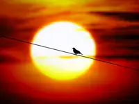 sunset.