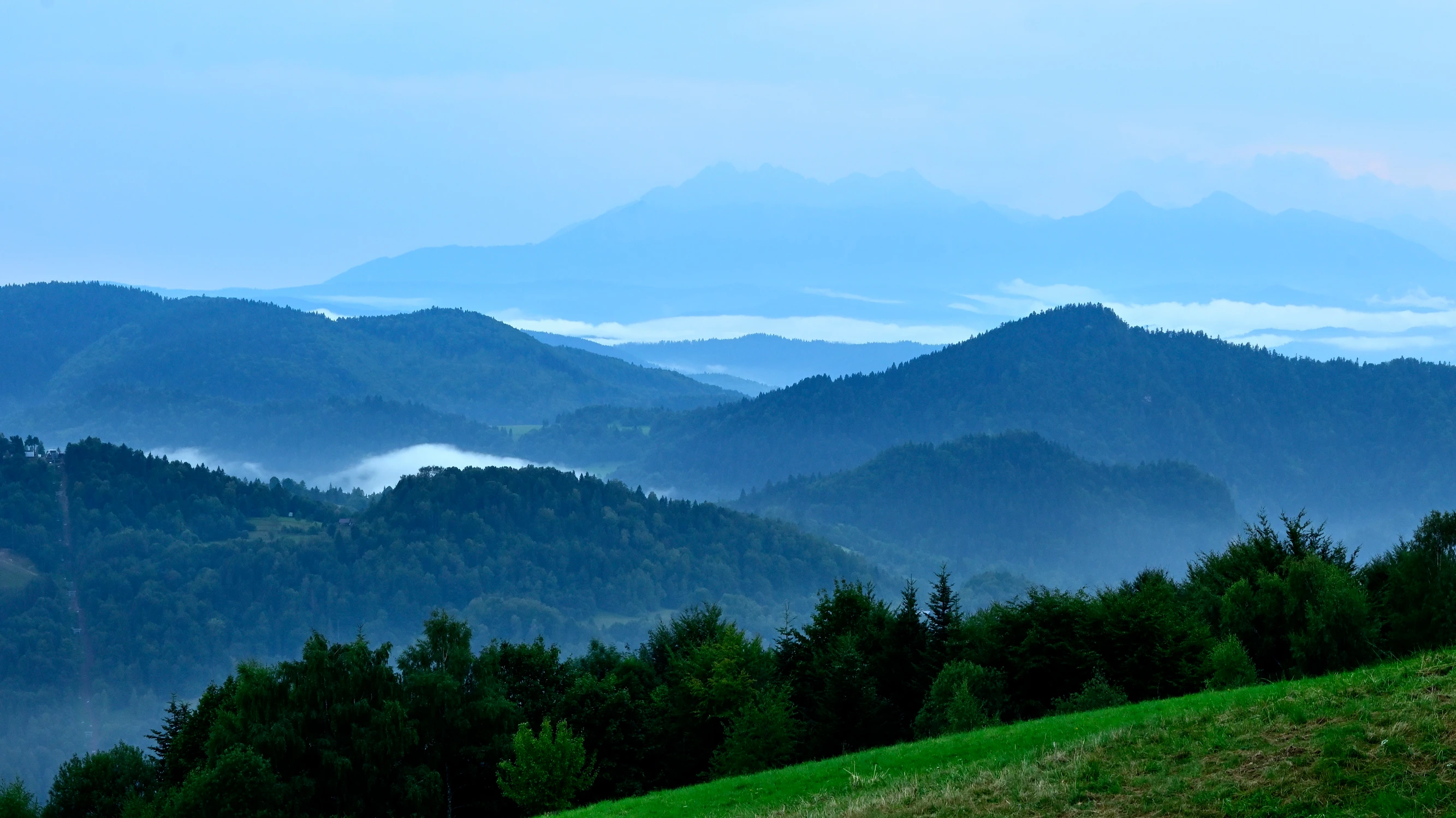 Pieniny i Tatry ze zbocza Bereśnika