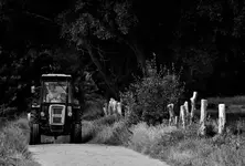 też mam niedźwiedzia... ;)