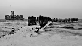 ta no..., torpedownia