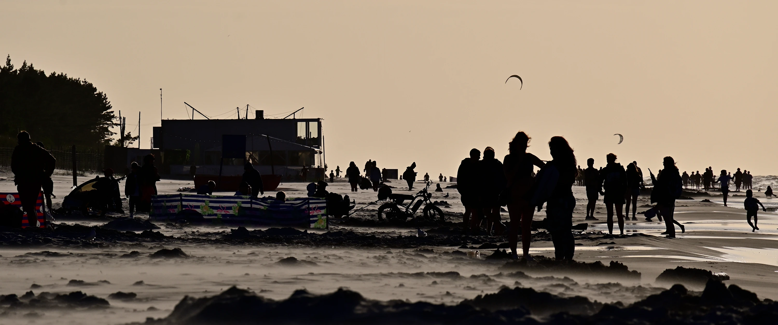 beach life