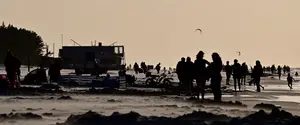 beach life
