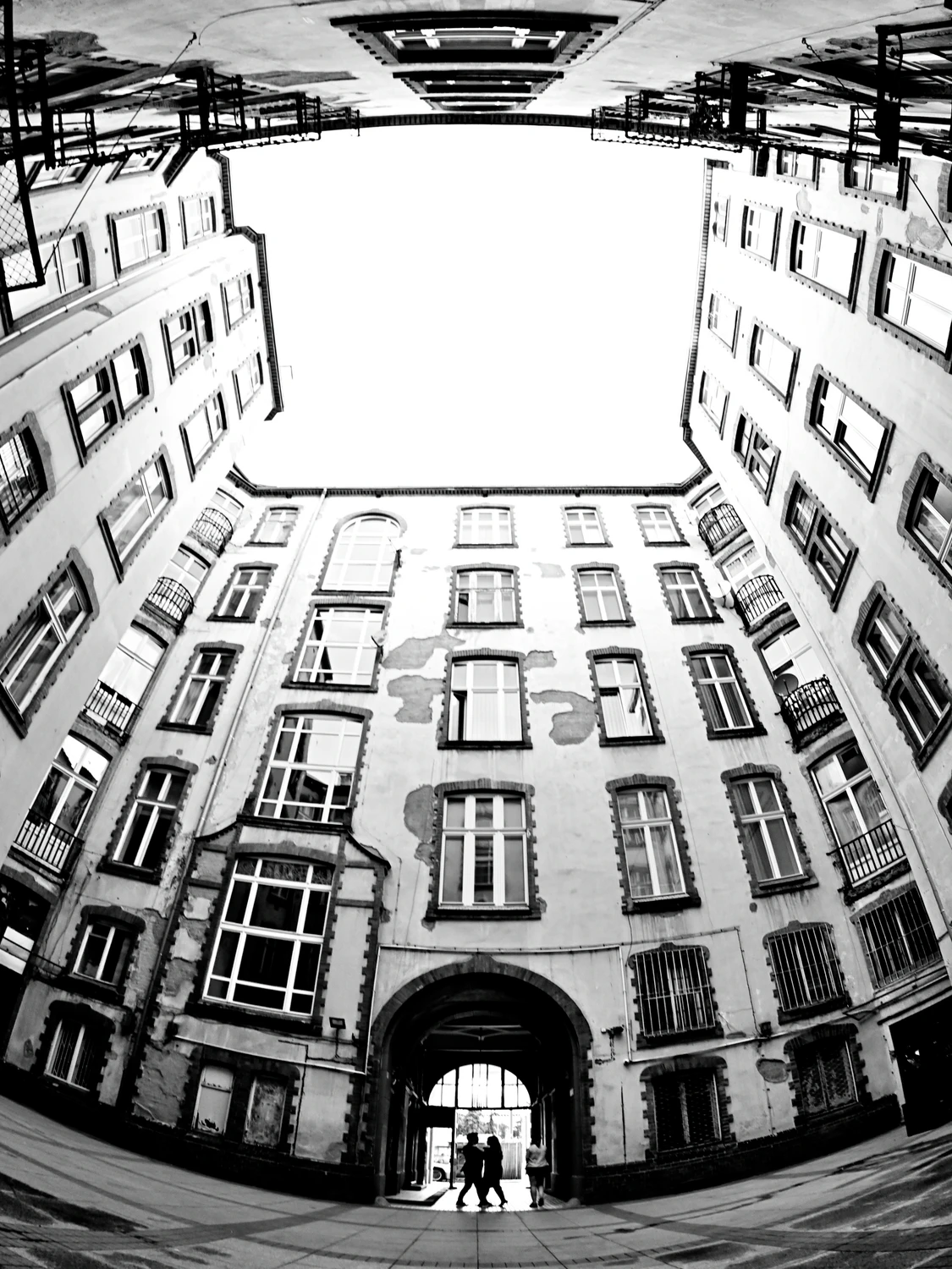 The Dance