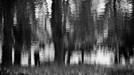jesienne refleksje VII