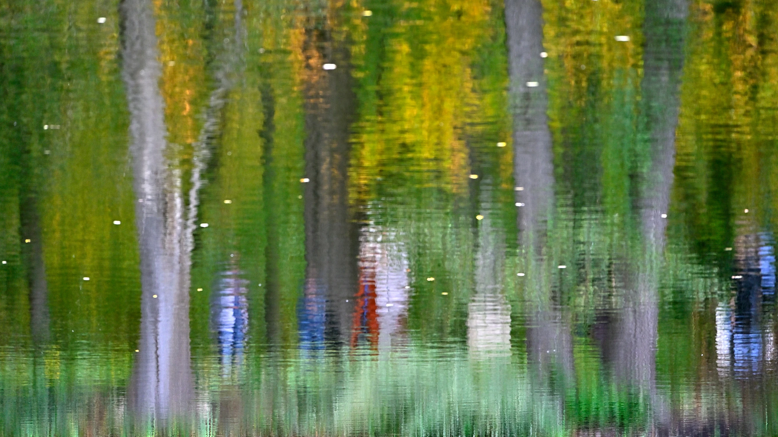 jesienne refleksje I