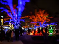 jeszcze świąteczne...