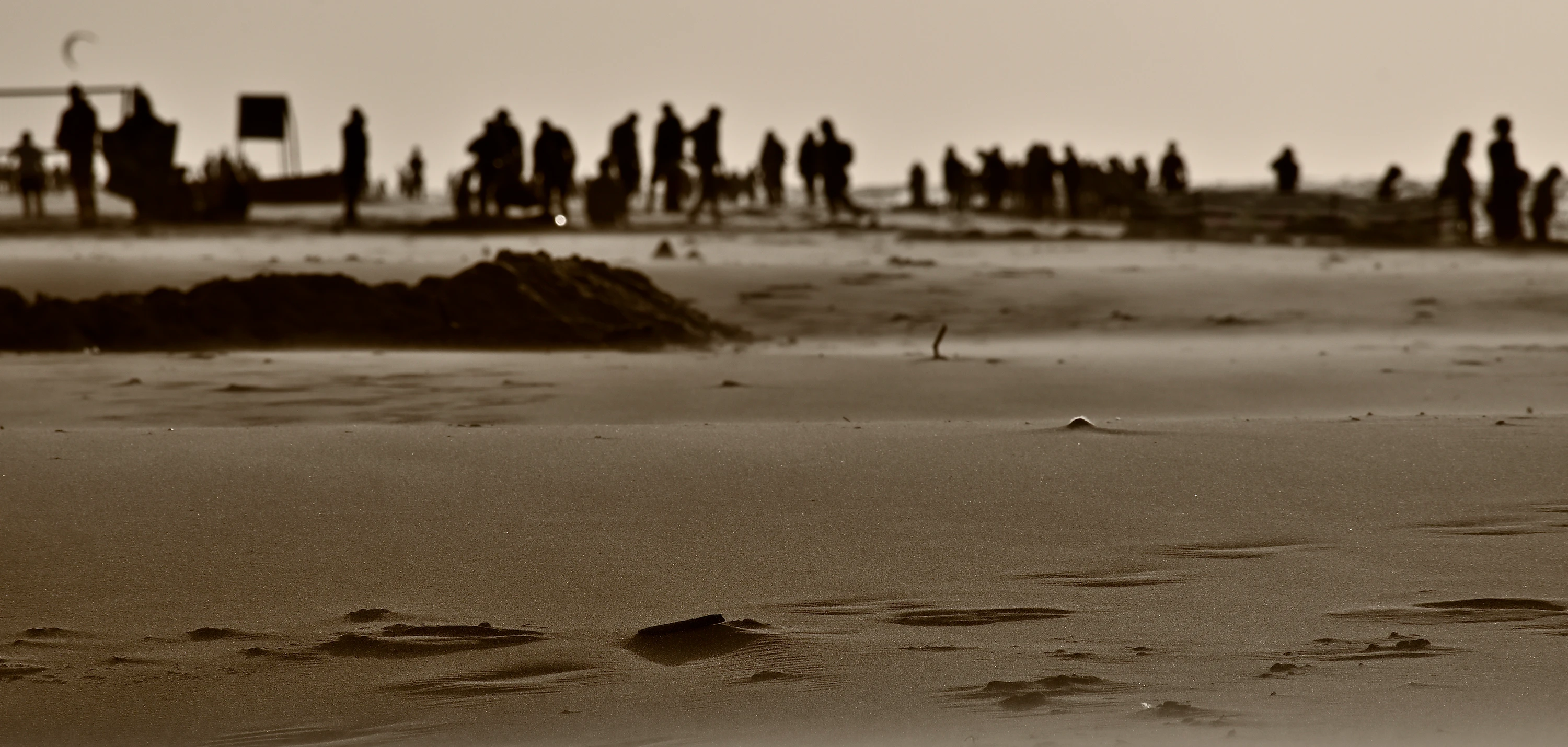 beach life
