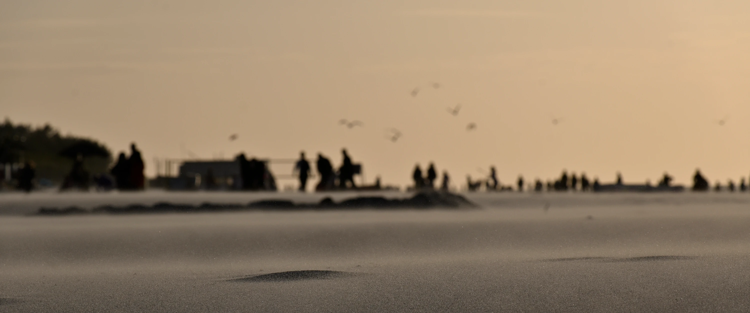 beach life