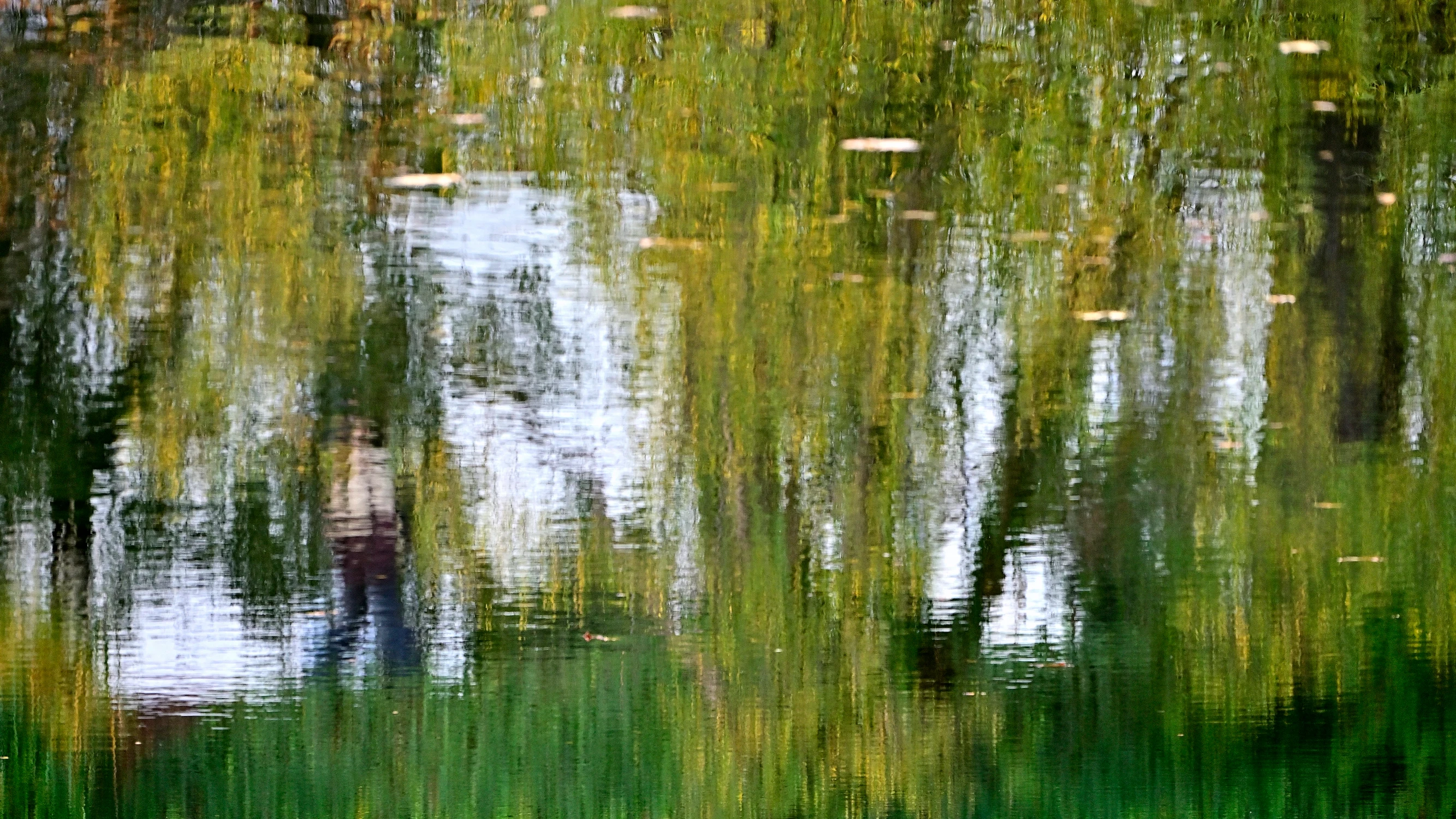 jesienne refleksje II