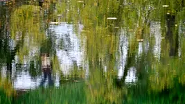 jesienne refleksje II