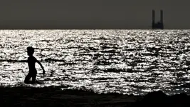 beach life