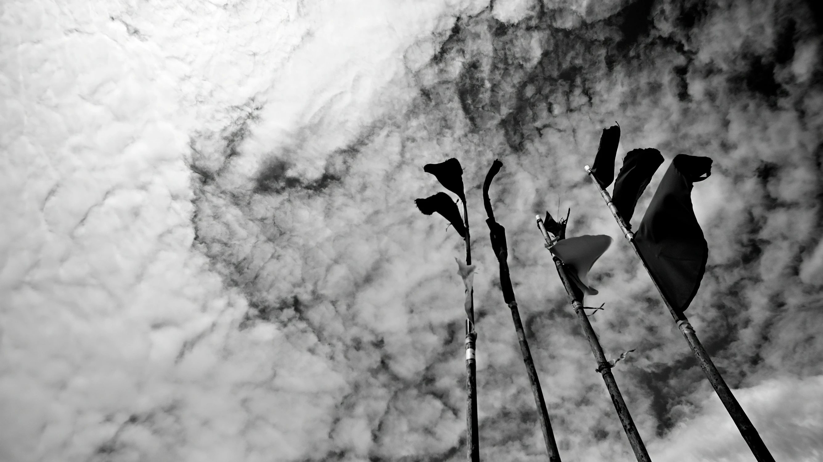 trochę wyłopotane...