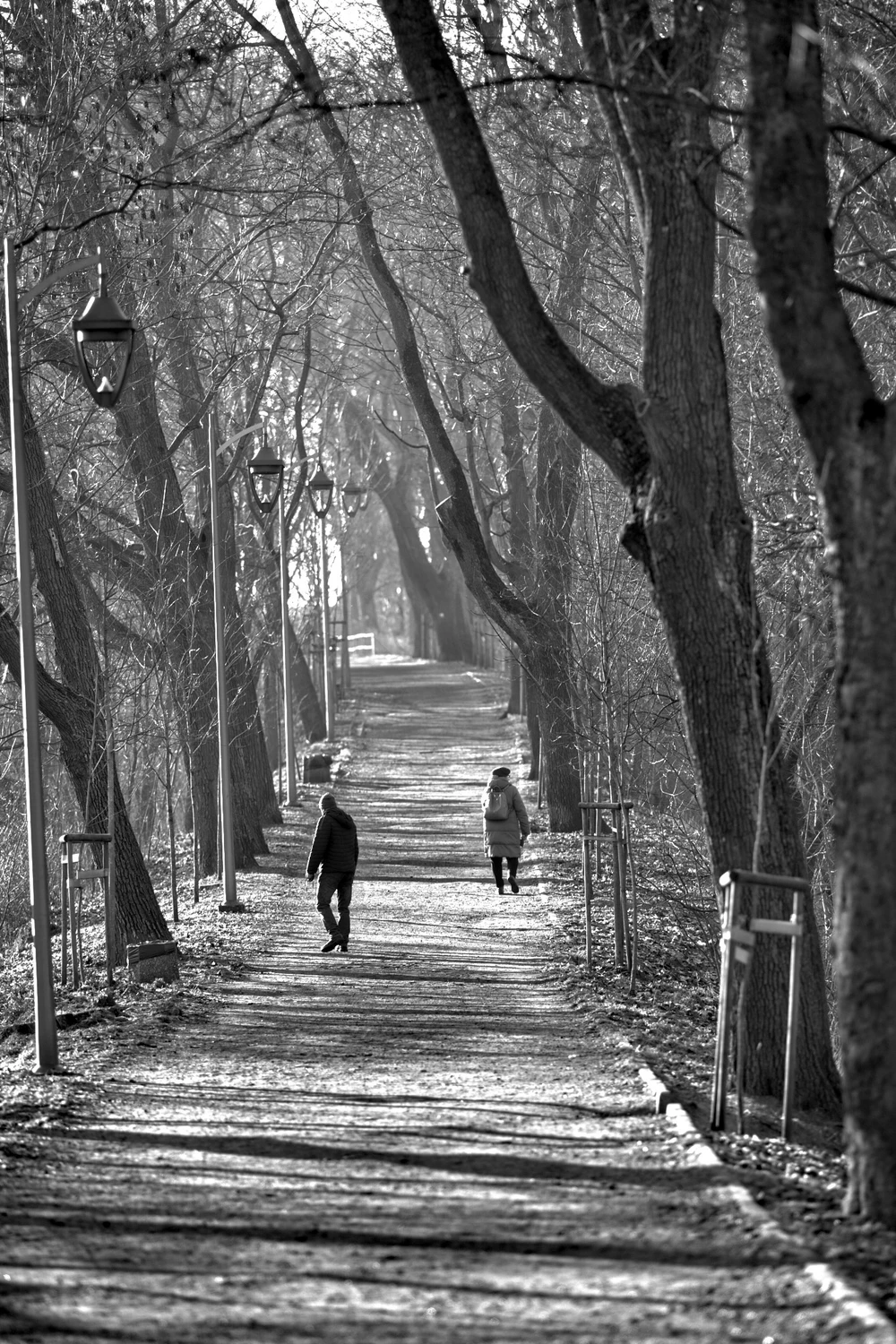 Ten sam kierunek ale inne wektory 