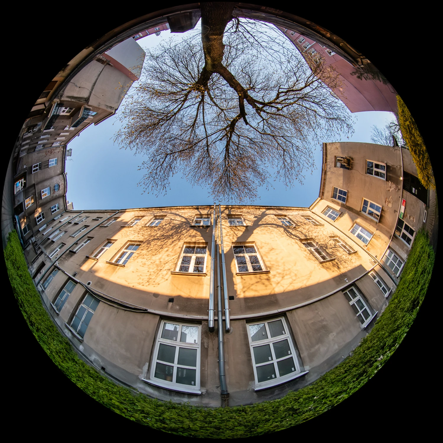Lublin - okiem szczupaka LUBlina