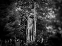 na lubelskim smętarzu