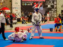 Mistrzostwa Europy Taekwon-Do - Lublin 2024