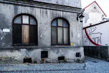 Lublin - jeleń na Szambelańskiej