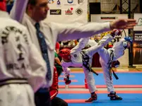 Mistrzostwa Europy Taekwon-Do - Lublin 2024