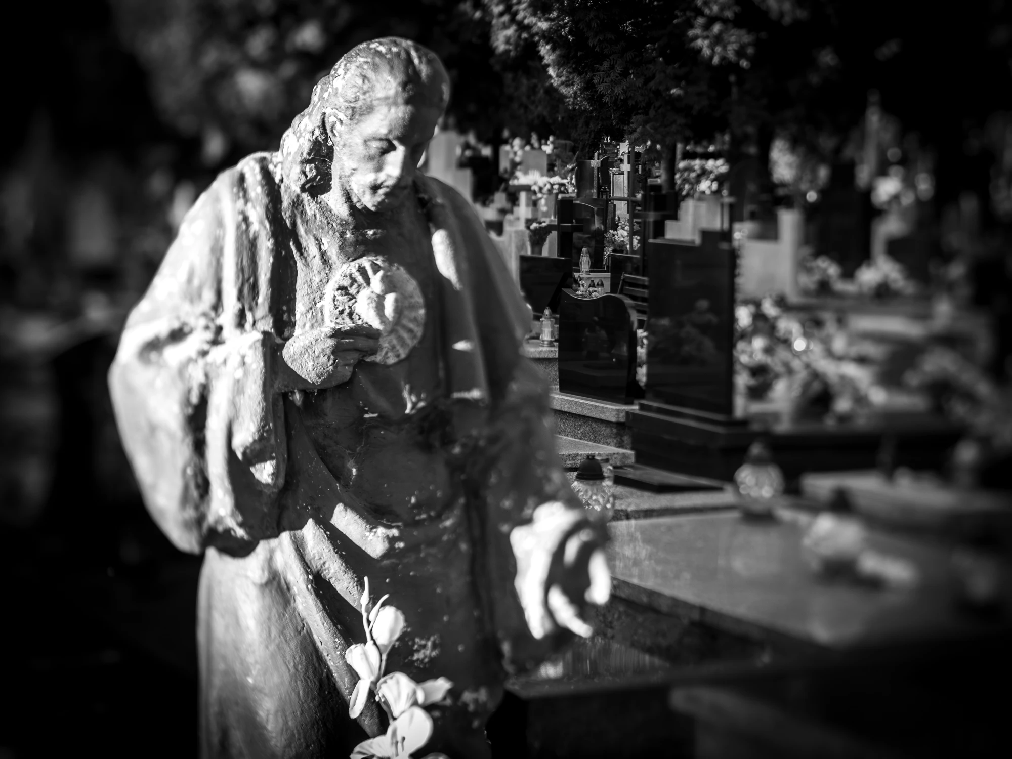 na lubelskim smętarzu