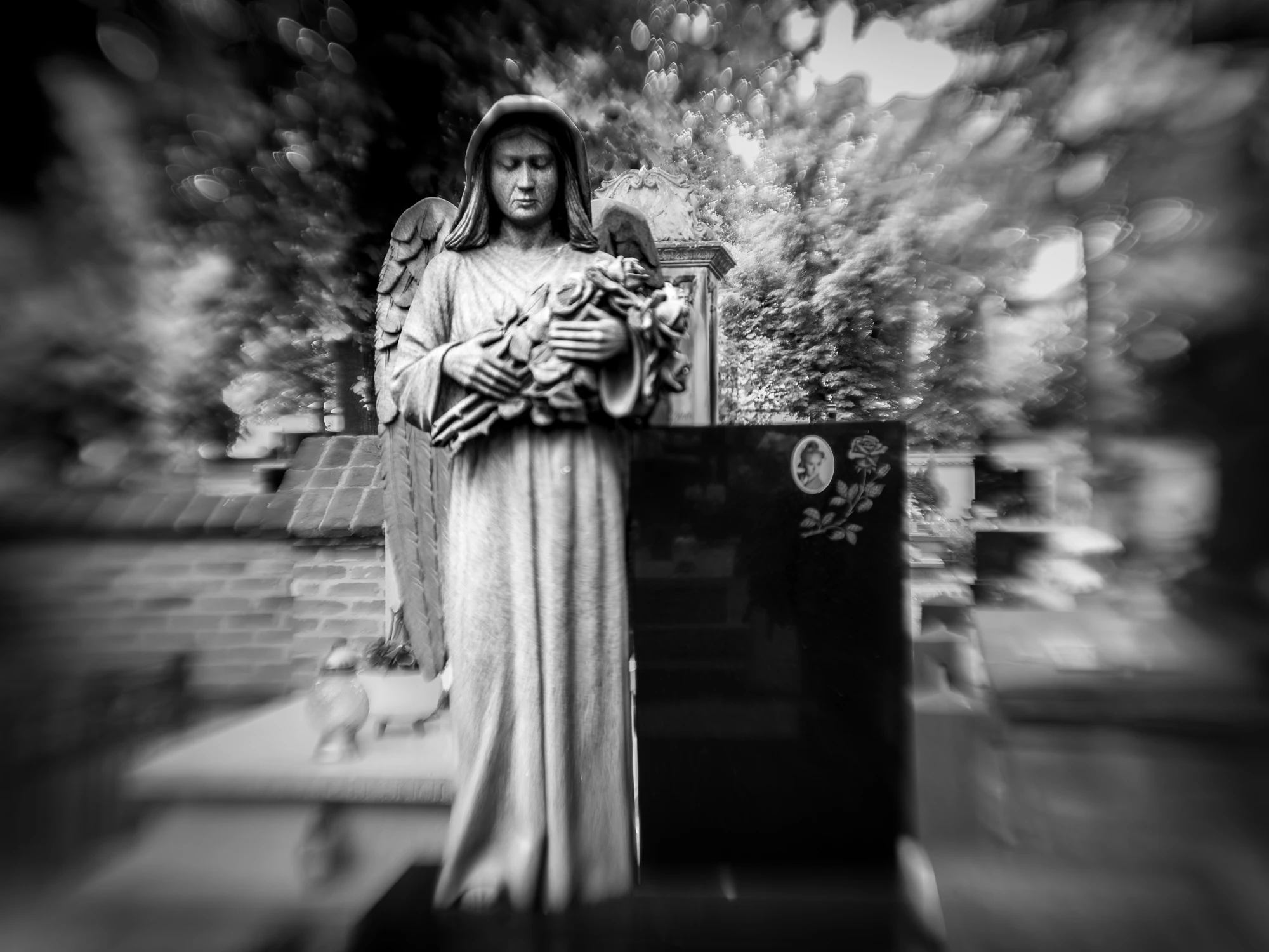 lubelskie smętarze - ul. Lipowa
