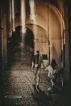 LU