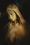 LU
