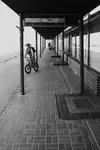 LU